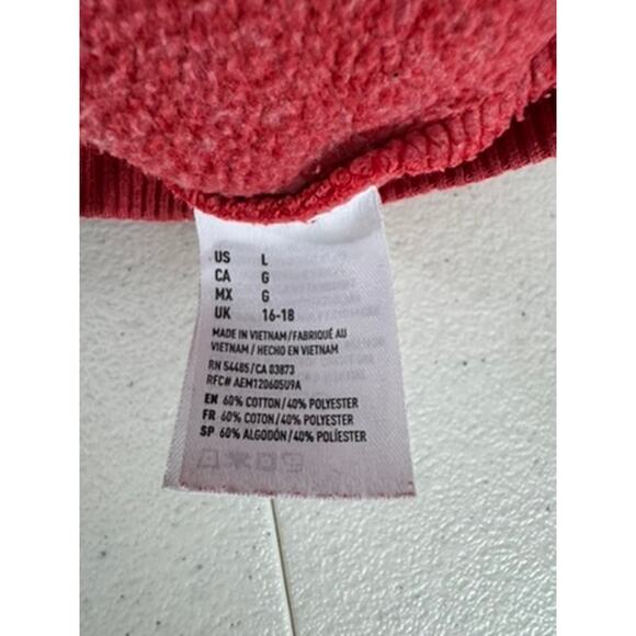 "AMERICAN EAGLE" Women's LG 2014 American Eagle Hooded Sweatshirt Preppy Grunge - Picture 5 of 10